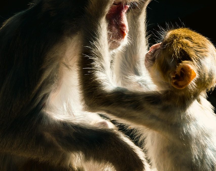 Dampak Sosialisasi BPJS oleh Dinas Kesehatan Terhadap Masyarakat